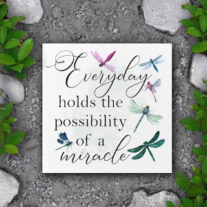 Everyday Holds a Miracle - Dragonfly Plaque for Garden Decor - Memorial Gift