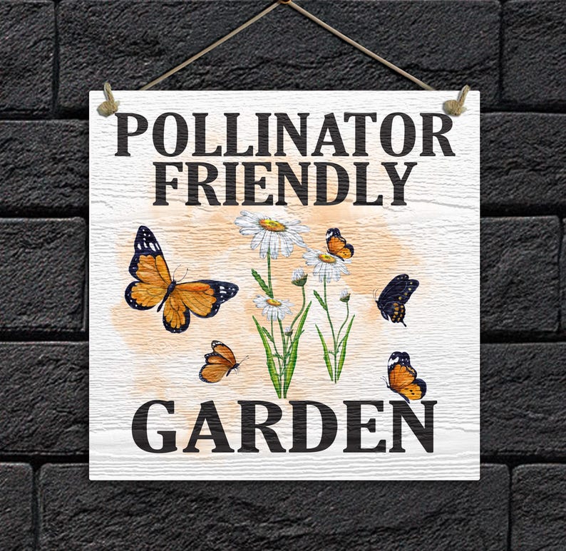 May include: White wooden sign with the text "Pollinator Friendly Garden" in black lettering. The sign features a watercolor illustration of daisies and butterflies.