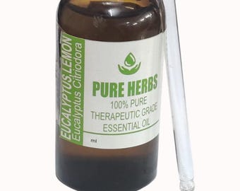 Zitronen-Eukalyptus (Corymbia citriodora) Reines und natürliches Glas für ätherisches Öl in therapeutischer Qualität