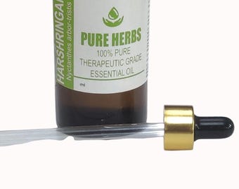 Harshringar (Cestrum nocturnum L.) Pure & Natürliches Glas für ätherisches Öl in therapeutischer Qualität
