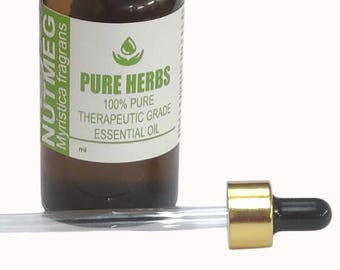 Muskatnuss (Myristica fragrans Houtt.) Reines und natürliches Glas für ätherisches Öl in therapeutischer Qualität