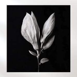 Monochrome Botanical Poster: Stylish Vintage Flower Illustration Wall Art, Instant Download