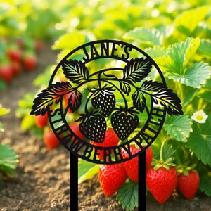 Puede incluir: Estaca de jardín de metal negro con la inscripción "Jane's Strawberry Patch" en un diseño circular. El diseño presenta fresas y hojas. La estaca está colocada en un jardín con fresas rojas y follaje verde.