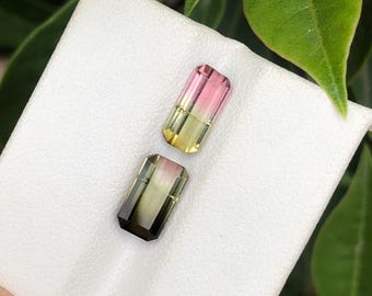 Bicolor Tourmaline Gemstone: 3 Carat, Afghanistan Origin, Jewelry Making