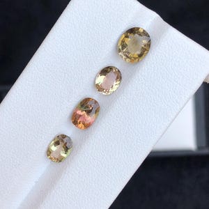 4.15 Carat Bi-Color Tourmaline Gemstone - African Origin