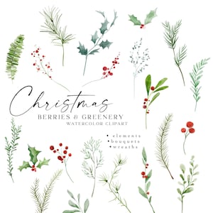 May include: A collection of watercolour clipart featuring Christmas berries and greenery. The image includes various botanical elements such as holly, pine needles, and red berries. The text "Christmas Berries & Greenery Watercolor Clipart" is also present.