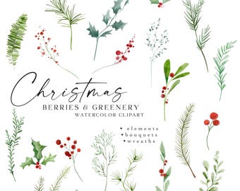 Rustieke kerstbessen clipart, aquarel winter botanische dennen hulst bladeren groen gebladerte groen rood elementen boeketten kransen png