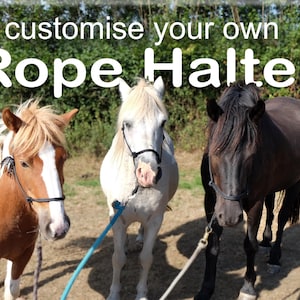 Custom Rope halter
