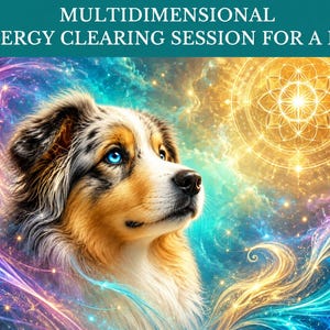 May include: A digital illustration of a dog with blue eyes against a vibrant, swirling cosmic background featuring a glowing golden geometric mandala. The text at the top reads MULTIDIMENSIONAL ENERGY CLEARING SESSION FOR A PET.