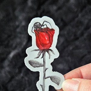 Spin op een Rode Roos - Sticker