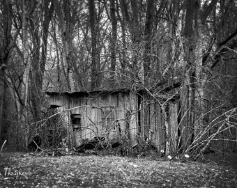 Shack in the Woods - Digital Download Photograph