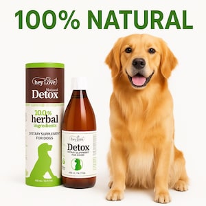 Natural Dog Detox Supplement – Herbal Liver & Kidney Cleanse | Immune Booster Liquid for Dog Health | 480ml | Fast Shipping