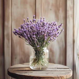 Purple Lavender Seeds: Fragrant Perennial Herb, Drought Tolerant