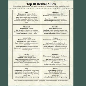 Op de afbeelding: Een afdrukbaar naslagwerk, "Top 10 Herbal Allies", op een donkergroene achtergrond. Het bevat kruiden zoals basilicum en lavendel, met details over hun toepassingen en energieën. Rechts staat "Printable Quick Reference Sheet."