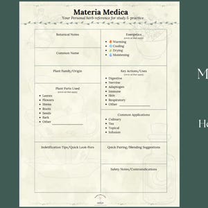 Op de afbeelding: Een afdrukbaar Materia Medica-studieblad met een crèmekleurige achtergrond en donkergroene accenten. Het blad bevat secties voor botanische notities, energetica, gebruikte plantendelen, belangrijke acties en veelvoorkomende toepassingen. De tekst "Materia Medica Study Sheet" wordt weergegeven.