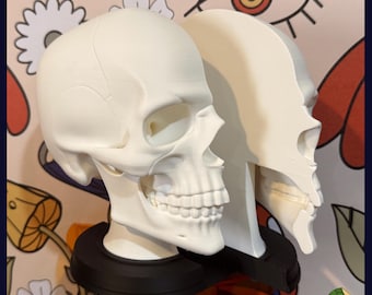 Skull -Bookend-