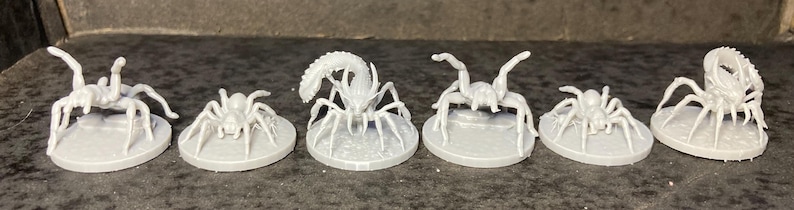 May include: Six small, light gray insect figurines, including spiders and scorpions, are arranged in a row. Each figurine is mounted on a small, round base. The details of the insects are clearly visible, showcasing their legs, pincers, and segmented bodies.