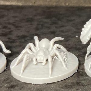 May include: A light gray miniature spider figurine with eight legs, a rounded body, and a detailed head. The spider is on a circular base, likely for tabletop gaming or display.