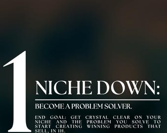 Profitable Niche, How to Niche Down Guide, Problem Solving, PLR and MRR, Marketing Strategy