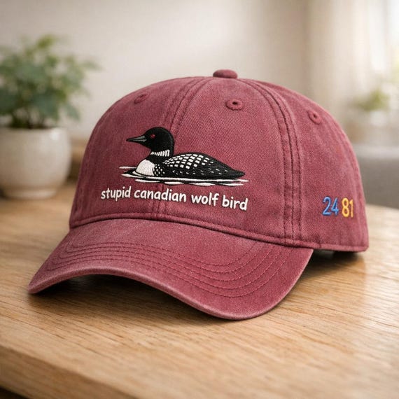 Funny Embroidered Trucker Hat Adjustable Cotton Baseball Cap Unisex Amazon.com: Funny Hats for Men Women, Funny Gag Gifts for  main image 4