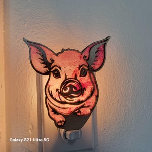 Schwein Nachtlicht