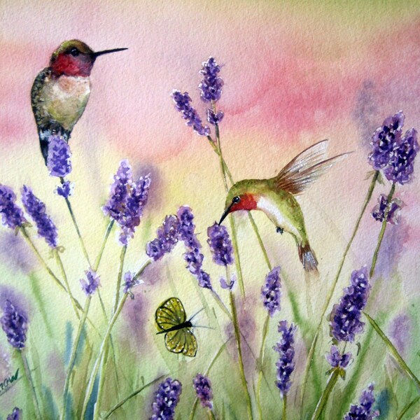 Photographie de colibris et lavande, de mon jardin peinture aquarelle originale, art de l'oiseau