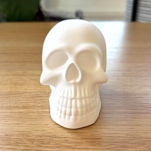 Minimalist White Skull Decor - Modern Casting Resin Sculpture | Handmade Ceramic-Style Accent