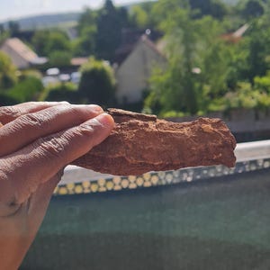 Op de afbeelding: Een stuk bruine schors in een hand gehouden tegen een achtergrond van een zonnig, groen landschap. De schors heeft een ruw, getextureerd oppervlak en een natuurlijke, aardse kleur.
