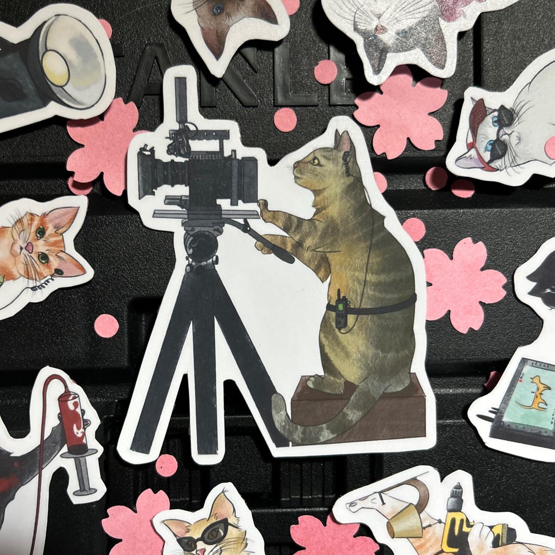 STICKER Kitten Filming Department Camera - Etsy