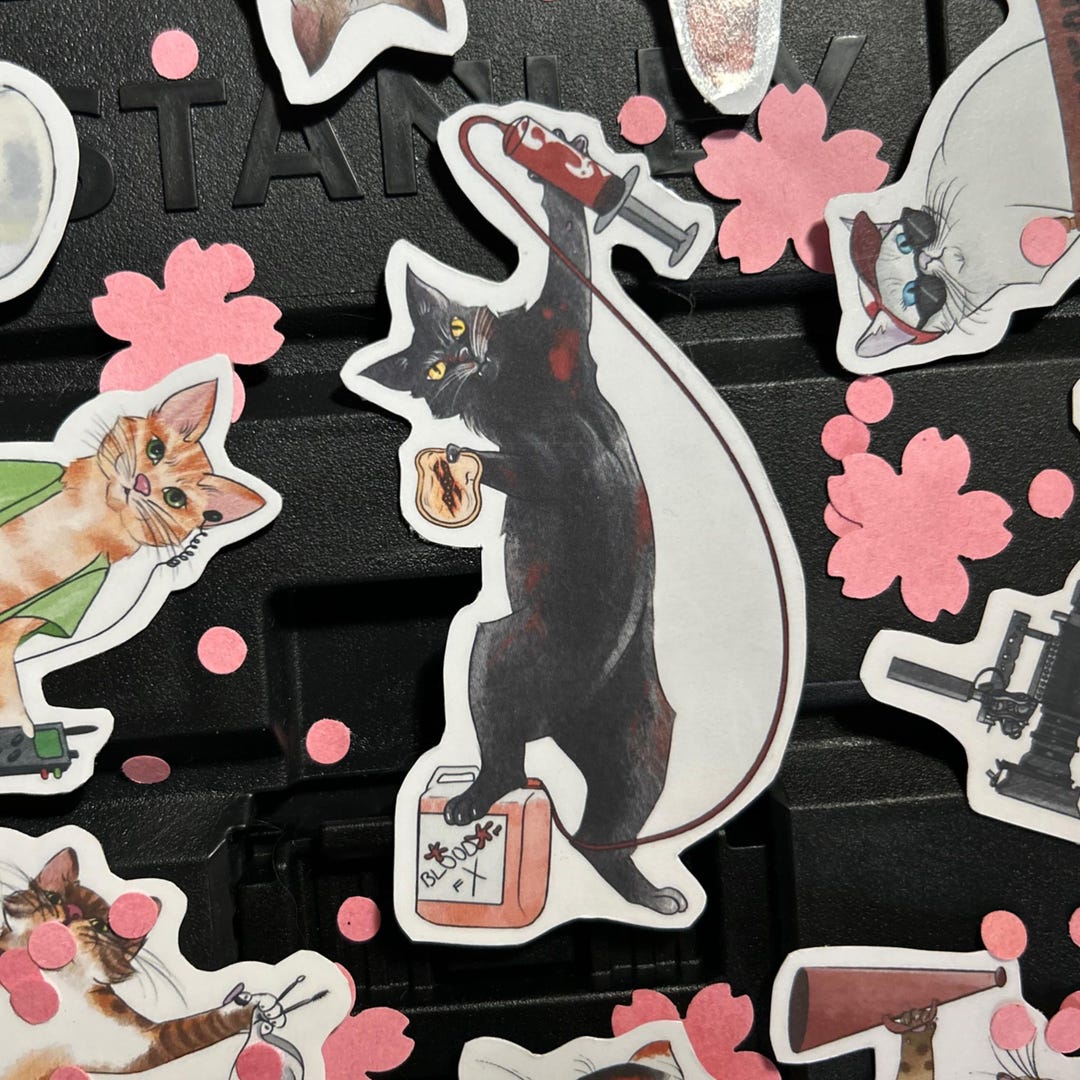 Sticker Filming Inspired STICKER Kitten Filming FX Department - Etsy