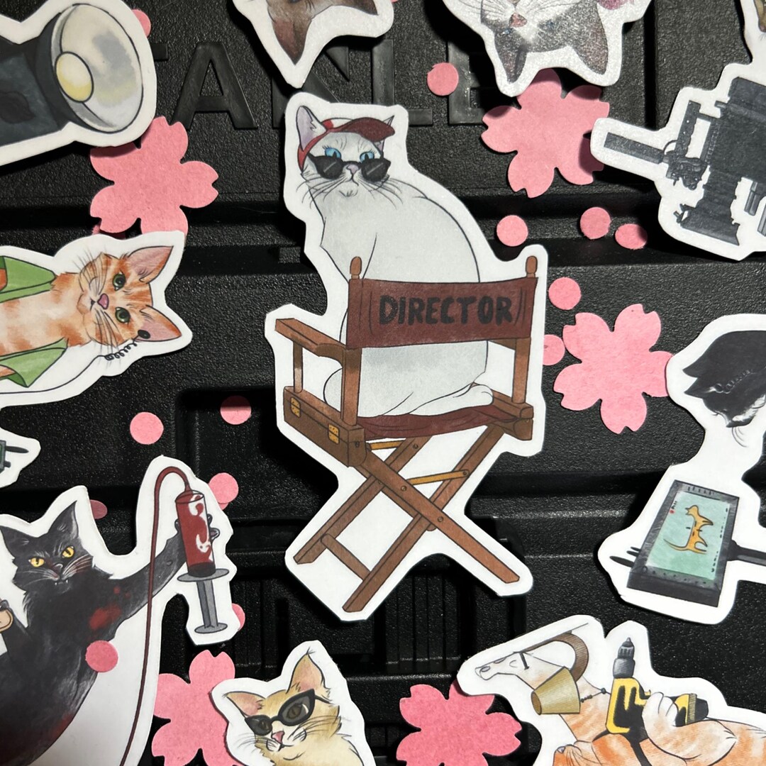 STICKER Kitten Filming Department Direction - Etsy