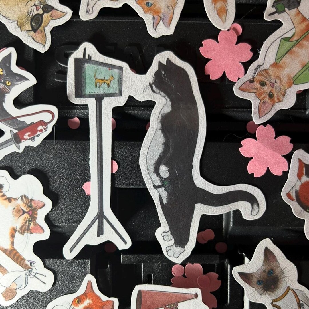 STICKER Kitten Filming Department Photography - Etsy