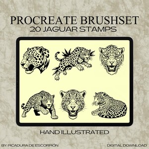 Jaguar Procreate Stamps for Tattoo Artists | 20 Jaguar Tattoo Flash Designs | Illustrated Big Cat Flash Pack