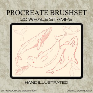 Puede incluir: Una ilustración digital en una pantalla de tableta presenta dibujos lineales rojos de ballenas, incluyendo una jorobada y una orca. El texto en la parte superior dice "PROCREATE BRUSHSET 20 WHALE STAMPS". Debajo de los dibujos, el texto dice "HAND ILLUSTRATED."