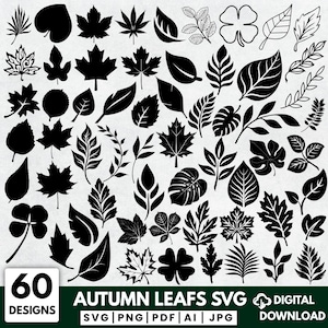 Op de afbeelding: Een verzameling van 60 zwart-witte bladsilhouetten en lijntekeningen met diverse botanische vormen, waaronder esdoorn-, eiken- en klaverbladeren. De tekst 60 DESIGNS AUTUMN LEAFS SVG DIGITAL DOWNLOAD SVG PNG PDF AI JPG is zichtbaar.