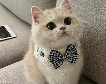 Cat Bow Tie Collar, Elegant Lace, Houndstooth Bow, Pet Outfit, Special Occasions