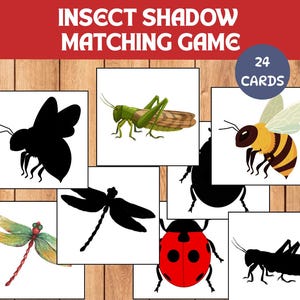 May include: Insect shadow matching game with 24 cards. The game features colorful insect illustrations and their corresponding black silhouettes. Includes a grasshopper, bee, dragonfly, and ladybug.
