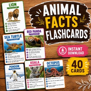 Puede incluir: Un juego de 40 tarjetas didácticas de Animal Facts con fotos de un león, panda rojo, tortuga marina, pingüino, koala y pulpo. Cada tarjeta incluye el nombre, un subtítulo, hábitat, dieta, peso en kg y un dato curioso sobre el animal.
