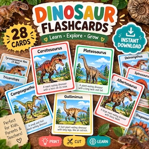 Op de afbeelding: Een set van 28 dinosaurus-flashcards met kleurrijke illustraties van verschillende soorten zoals Ceratosaurus, Plateosaurus en Gallimimus. Elke kaart bevat de naam van de dinosaurus en een korte beschrijving met tekst.