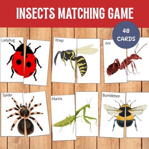 May include: Insect matching game with 48 cards. The game features illustrations of insects like a ladybug, wasp, ant, spider, mantis, and bumblebee. The title "INSECTS MATCHING GAME" is displayed at the top.