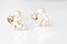 Little Mother of Pearl Flower and Rhinestone Cluster Stud Earrings 