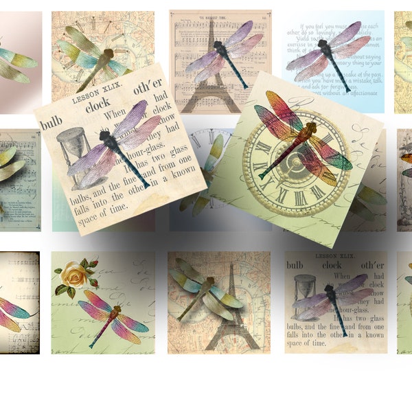 Dragonflies Printable Digital Collage Sheet - Dragonfly 1 Inch  Squares for Junk Journals,  Pendants, Key Chains, Magnets, Paper Crafts