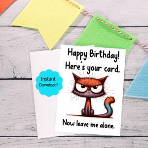 May include: A birthday card featuring a cartoon cat with an angry expression. The card's text reads "Happy Birthday! Here's your card. Now leave me alone." A white envelope and a blue "Instant Download!" sticker are also visible. Colourful felt pennants hang in the background.