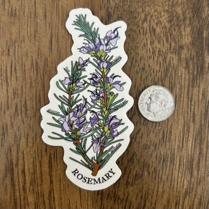 Puede incluir: Una pegatina blanca con una ramita de romero con flores moradas y hojas verdes. La palabra "Rosemary" está en la parte inferior, con otras palabras como "protección" y "curación". Una moneda está al lado de la pegatina.