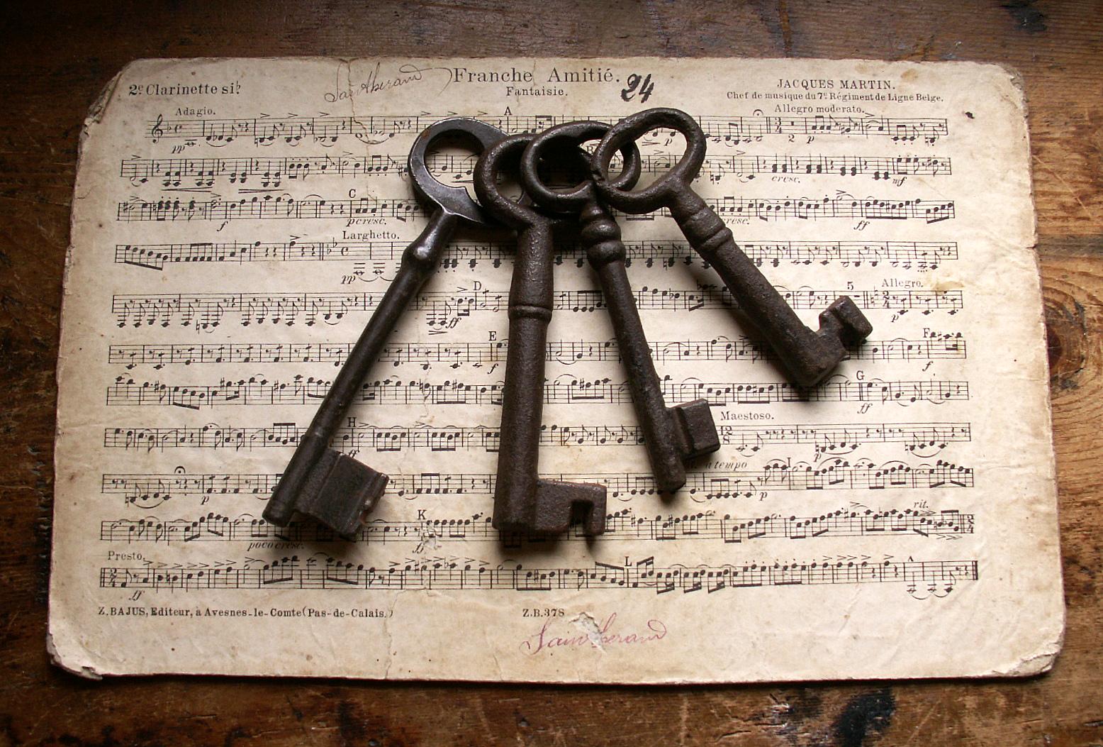 Vintage Large Rusty French Skeleton Keys - To The Castle Sold Individually