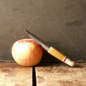 Vintage Apple Coring Tool with Wood Handle - Retro Kitchen Decor - Perfect for Fall!