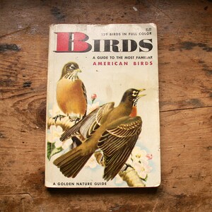 Vintage Golden Nature Guide Pocket Sized Book - American Birds - Published in 1962