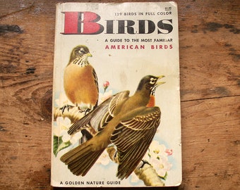 Vintage Golden Nature Guide Pocket Sized Book - American Birds - Published in 1962
