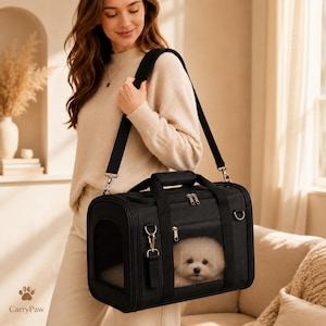 May include: A black rectangular pet carrier with a mesh window on the front and side, featuring a top handle, a detachable shoulder strap, and silver metal zippers. A small white fluffy dog is visible inside the carrier through the mesh window.
