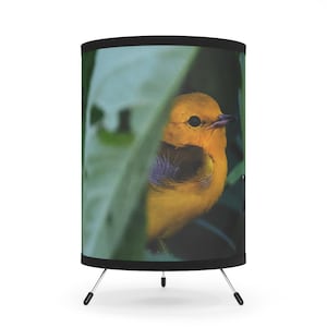 Nature-Inspired Tripod Lamp, Bird Decor Prothonotary Warbler Boho Decor, Unique Home Lighting, Gift for Nature Lovers, Ambient Lighting
